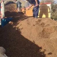 سبوس‌پوسته‌بادام‌زمینی‌وانار|عمده‌فروشی|شیروان (خراسان), |دیوار