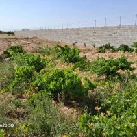زمین-کشاورزی-نزدیک-شهرک-صنعتی-نجف-آباد2-شهر-جوزدان