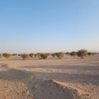 فروش زمین در حسن آباد چاه اب/تهاتر/ سرمایه گذاری|فروش زمین و ملک کلنگی|اصفهان, قهاب جنوبی|دیوار