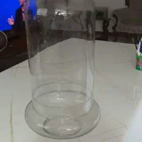 شیشه تراریوم