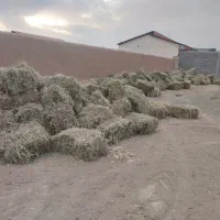 سفال ارزن