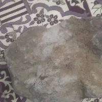 سنگ راف جاسپر
