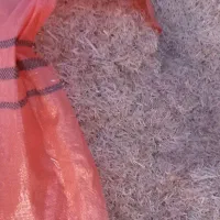 کاه|حیوانات مزرعه|تربت جام, میان جام|دیوار