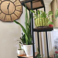 جای گلدان استند گلدان|صنایع دستی و سایر لوازم تزئینی|زابل, |دیوار