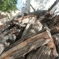 برش چوب وخریدار چوب درب کارگاه