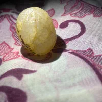 یاقوت زرد طبیعی|کلکسیون اشیاء عتیقه|ساری, |دیوار