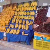 واگذاری-میوه-فروشی-با-سود-بالا-و-تضمینی