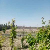 باغ و باغچه سند دار|فروش زمین و ملک کلنگی|شهریار, اصیل آباد|دیوار