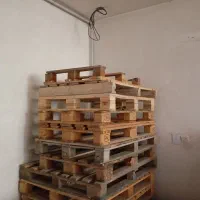 پالت