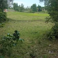 فروش زمین کشاورزی و مسکونی در قاضیان سنگر|فروش زمین و ملک کلنگی|سنگر, |دیوار