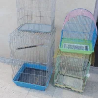 تعدادی قفس پرنده طوطی هلندی وقناری