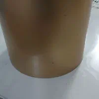 گلدون|گل و گیاه طبیعی|کرمانشاه, |دیوار