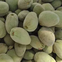 بادام پوست کاغذی