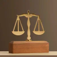 تنظیم دادخواست و شکواییه ،تنظیم لوایح