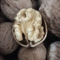گردو سی سخت