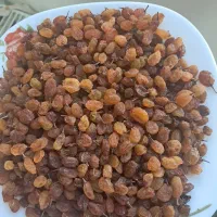 کشمش