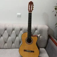 گیتار نیمه حرفه ای