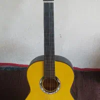گیتار دیاموند و کیف گیتار