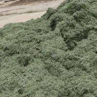 یونجه خردشده وپرس|حیوانات مزرعه|سپیدان, |دیوار