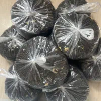 خوردنی و نوشیدنی