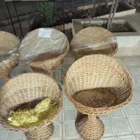 قفسه خشکبار