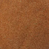 خاکشیر تمیز
