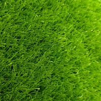 پخش چمن مصنوعی + چسب مخصوص نصب