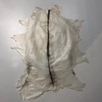 پوست ساز تار و کمانچه