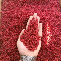 زرشک پفکی پرداخت درب منزل