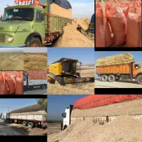 فروش عمده کاه گندم  وکاه نیشکر(باگاس)