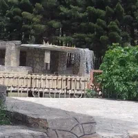 مدیریت فضای سبز