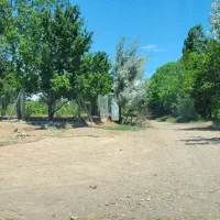 باغ انگور|فروش زمین و ملک کلنگی|ضیاء آباد, |دیوار