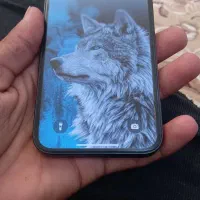 ایفون ۱۲ نرمال|موبایل|تربت جام, والفجر|دیوار