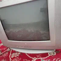 تلوزیون