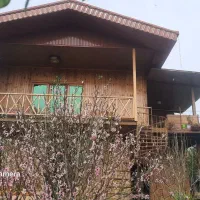 اجاره روزانه/ هفتگی/ ماهانه کلبه چوبی جکوزی دار