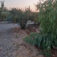 باغ ۱۱۰۰ متری مبارکه نصیرآباد.نزدیک استخر اسپینر|فروش خانه و ویلا|مبارکه, |دیوار