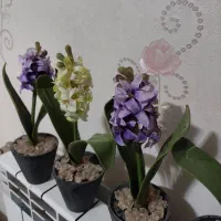 گل مصنوعی