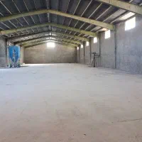 اجاره مرغداری تخم گذار85هزاری باپروانه ومجوزممیزی|اجارهٔ دفتر صنعتی، کشاورزی، تجاری|تیران, |دیوار