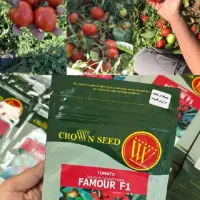 گوجه فامور پرتناژ