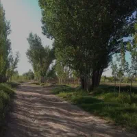 زمین-علی-آباد-تجاری