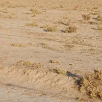 زمین در قوم تپه صوفیان|فروش زمین و ملک کلنگی|صوفیان, |دیوار