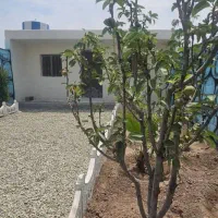 زمین باغ باغچه ویلا سند تک برگ بر خیابون نگهبانی|فروش زمین و ملک کلنگی|شهریار, اصیل آباد|دیوار
