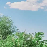 راهنمایی  لطفا