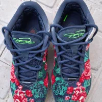 کتونی لبرون ۲۱ در حد نو کمیاب|کیف، کفش، کمربند|کرمان, |دیوار