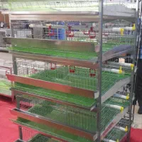 دستگاه جوجه کشی 48 +دارای برد تمام اتوماتیک|لوازم جانبی حیوانات|زاهدان, |دیوار