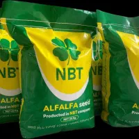 تولید انواع بذر یونجه گرمسیری و سردسیری و معتدل