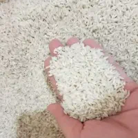 چمپای با کیفیت چیتاب و صالحون