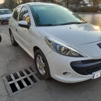 207 پاناروما 1403 بیرنگ