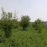 چهار دیواری ۷۵۰متری  پارادایس