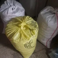 نان خشک تمیز